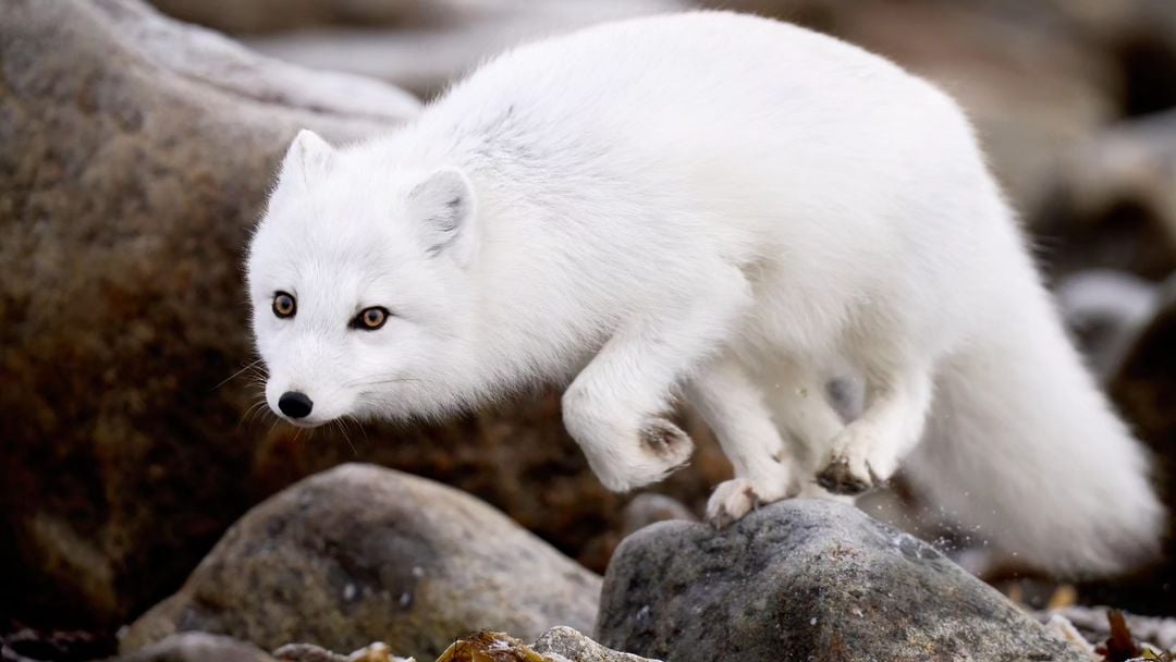 385681250_1025976695493520_7911369493770218219_n