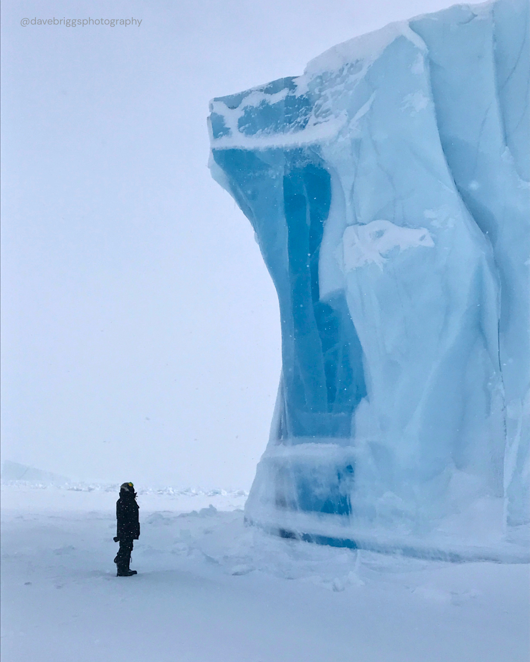 @davebriggsphotography