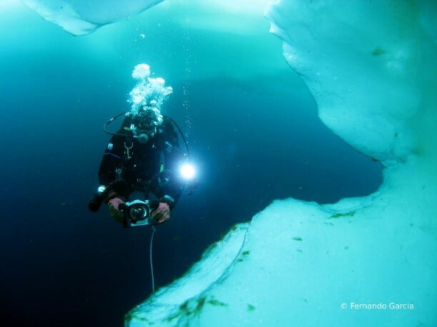 Baffin Island Dive Safari A Private Journey