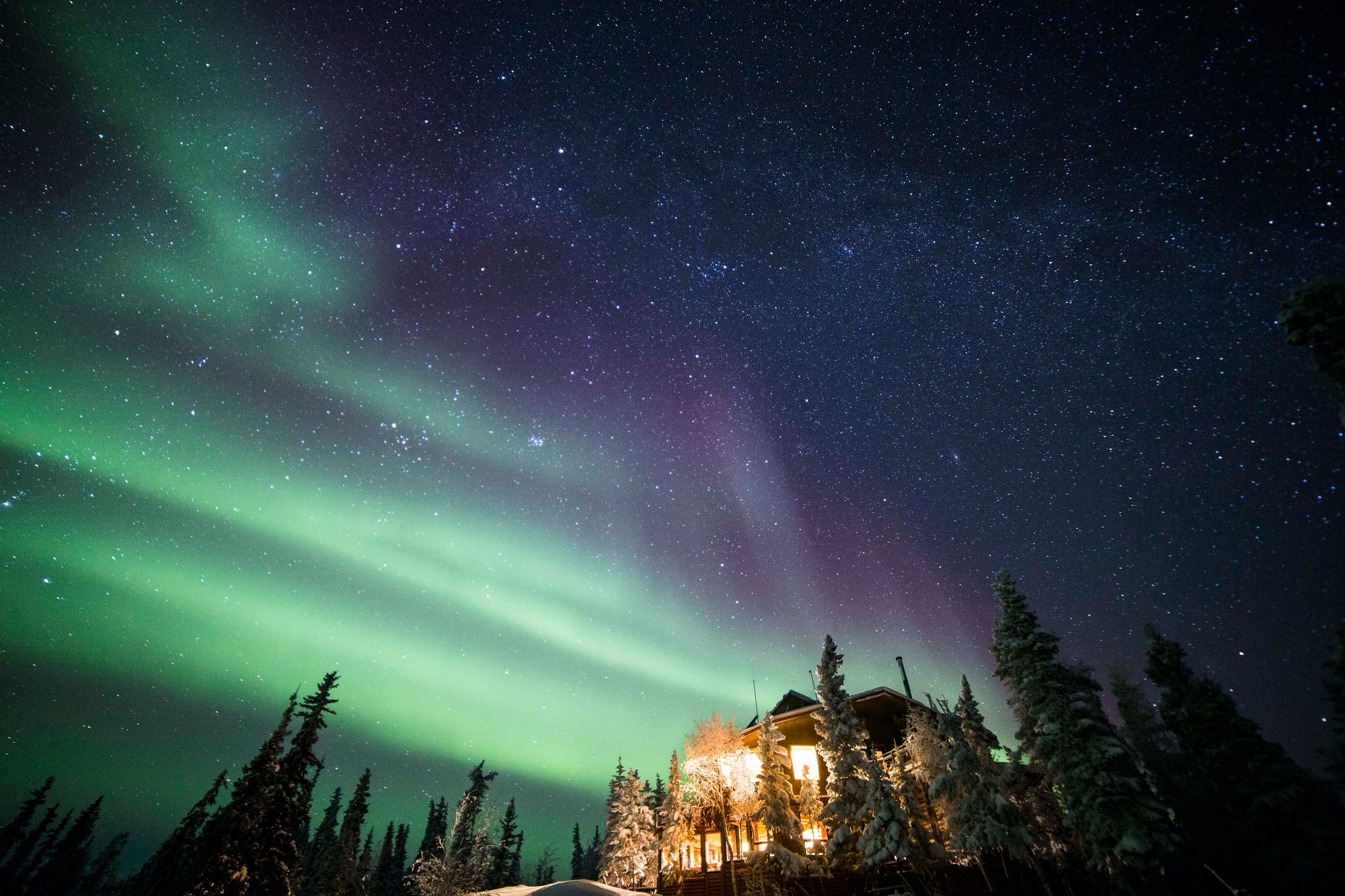 Aurora Main Lodge Stars Purple Green_Martina Gebarovska_Winter