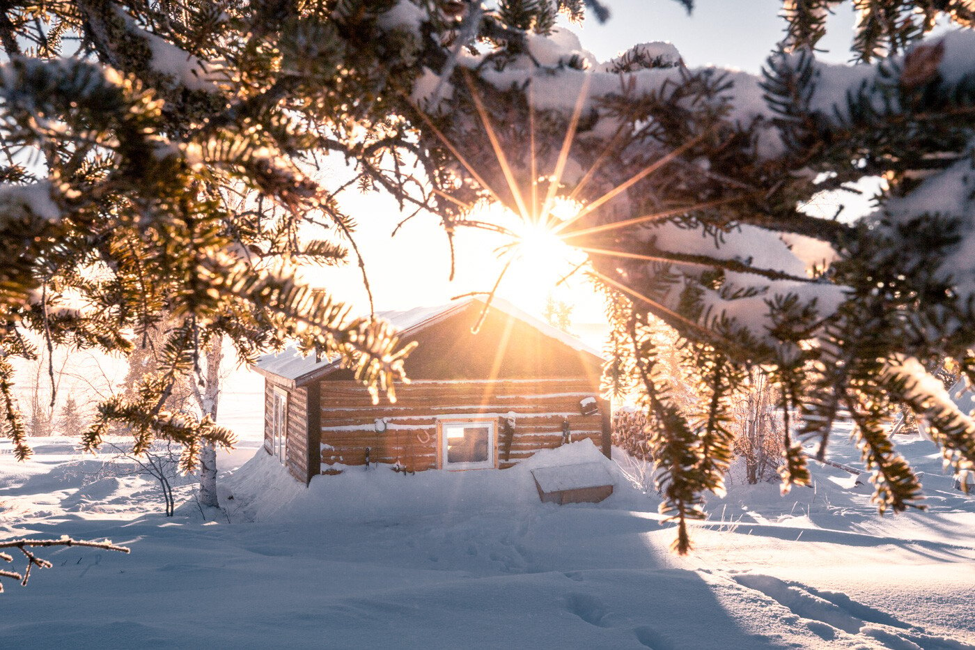 Trappers Cabin Winter 2019 Martina Gebarovska (3)