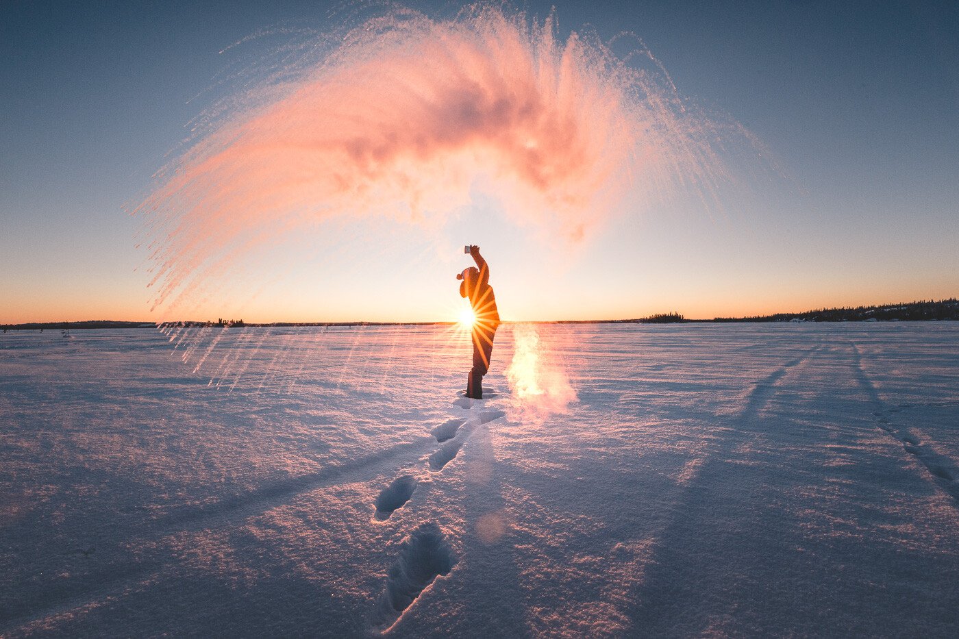 tea toss Winter 2019  -Martina Gebarovska  (2)