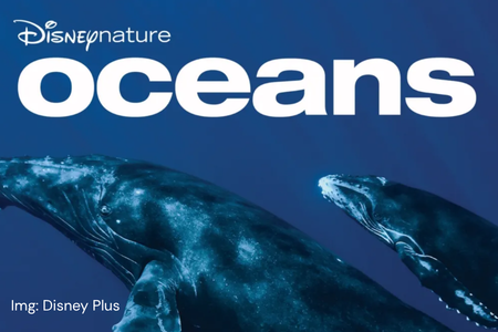 Disney Oceans