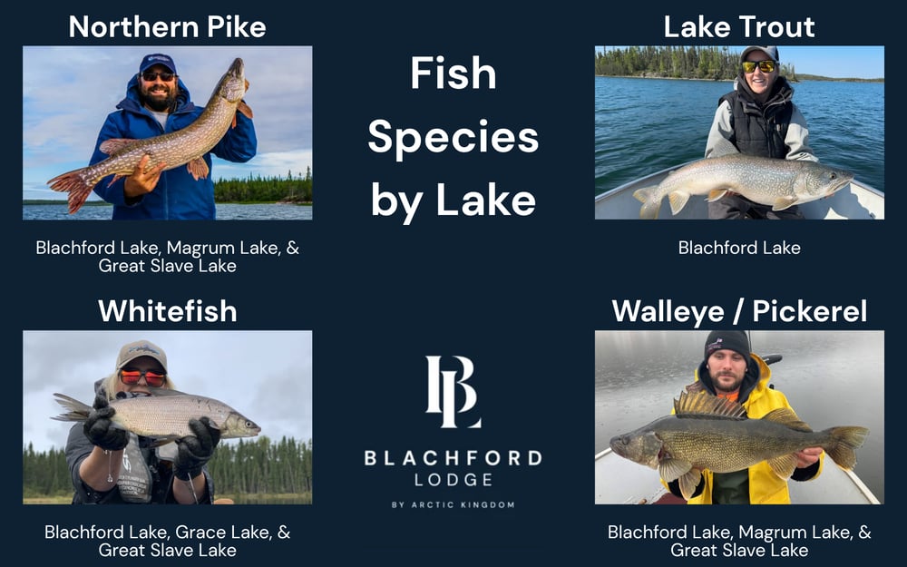 Fish Species Updated Fish Species Updated