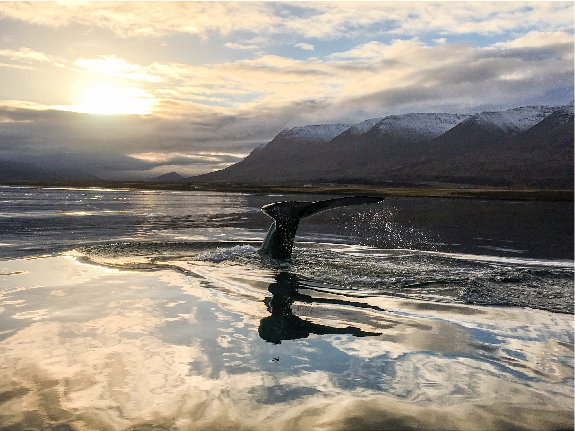 Iceland_Ultimate_Summer_4