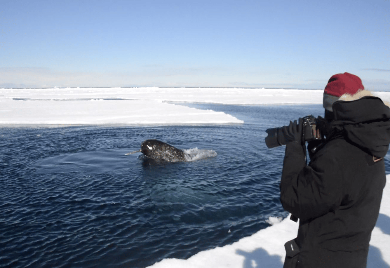 ARCTIC KINGDOM - Ultimate Floe Edge16
