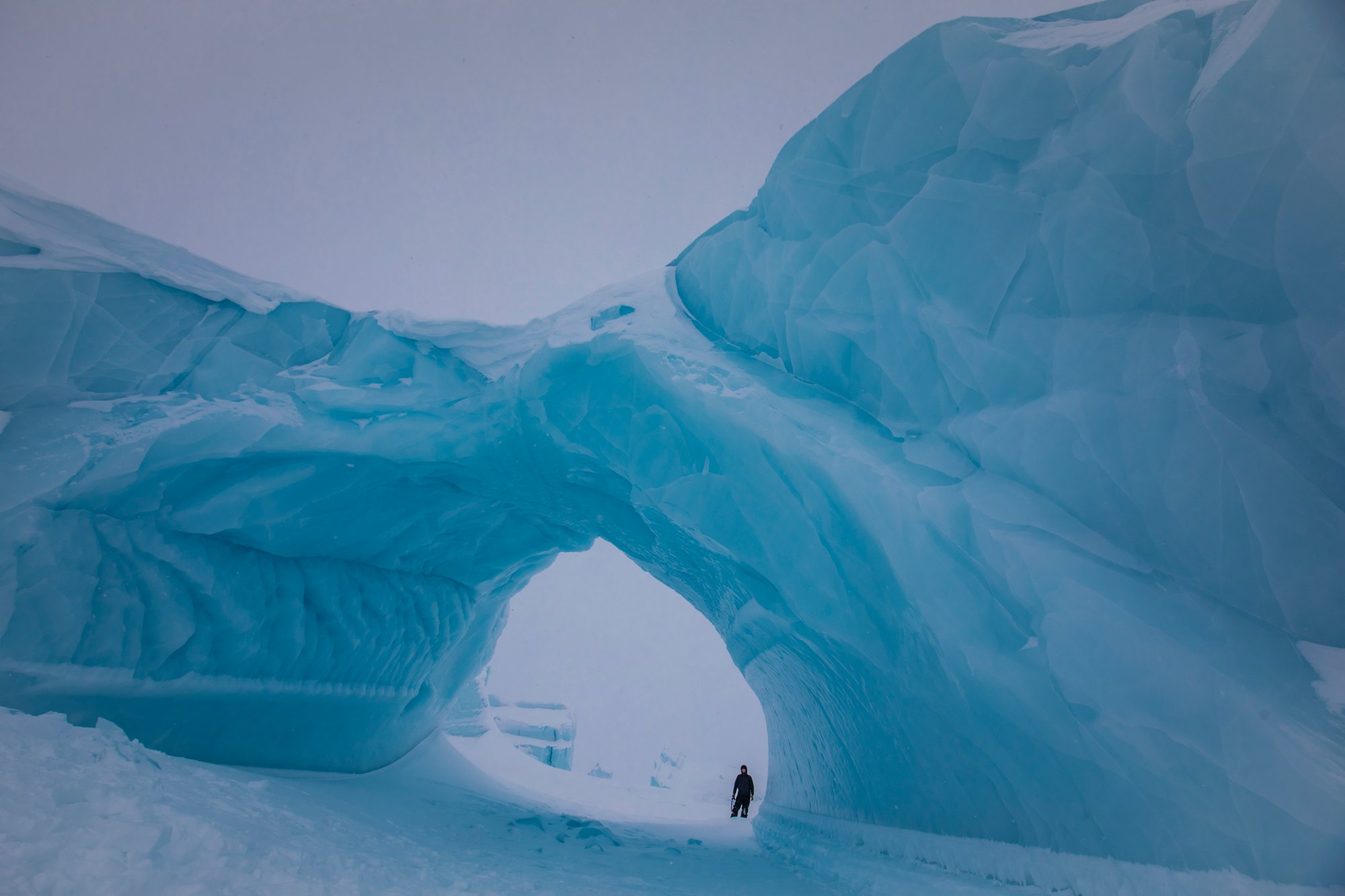 T10-2019-PaulGoldstein_2L5A0022 (41)