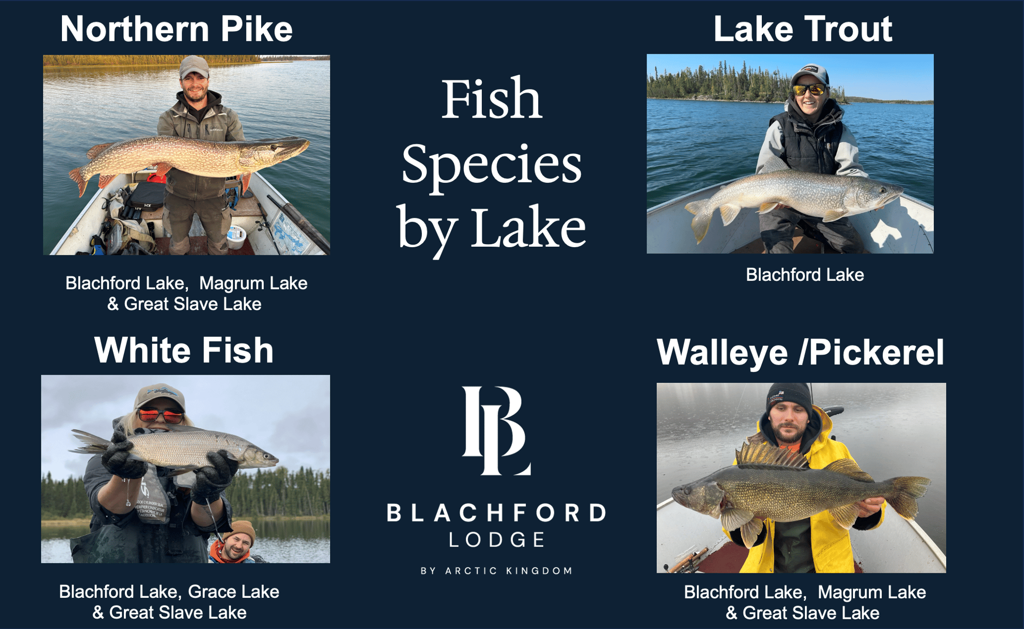 Species by Lake Fly In Fly Out