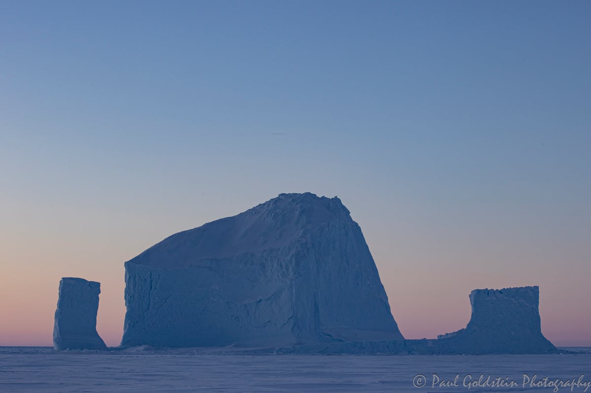 Polar Bear Migration - Paul Goldstien - Arctic Kingdom15