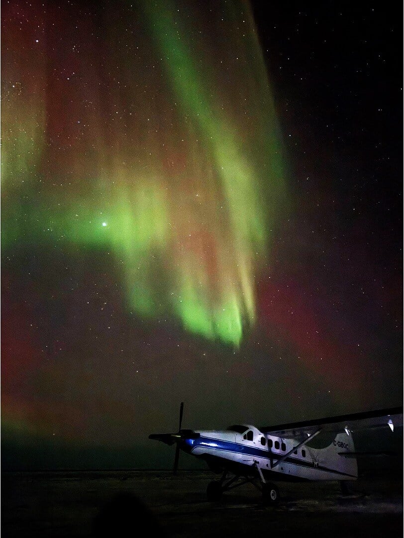 Polar Bear Migration - a Fly-In Safari - Arctic Kingdom - Polar Bears - Arctic Wildlife2