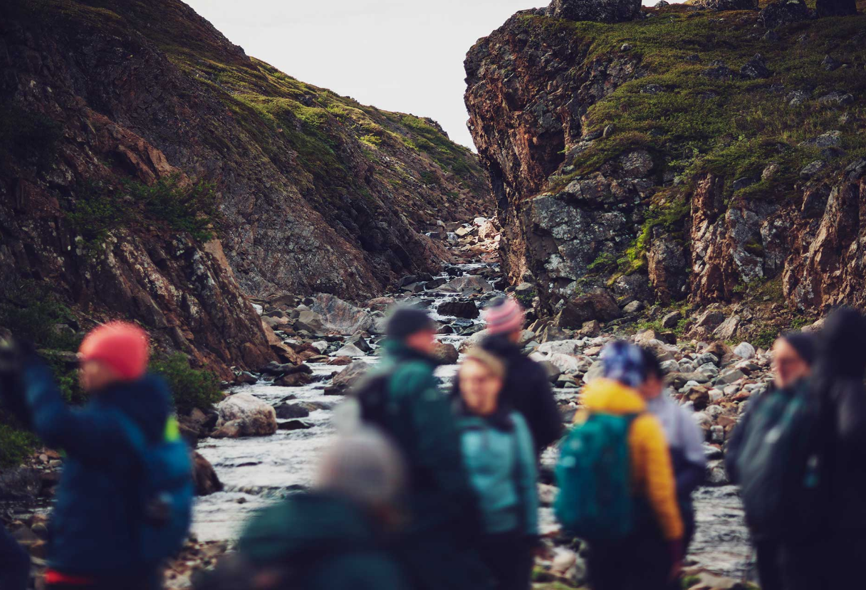 TorBayBearsGutTorngats