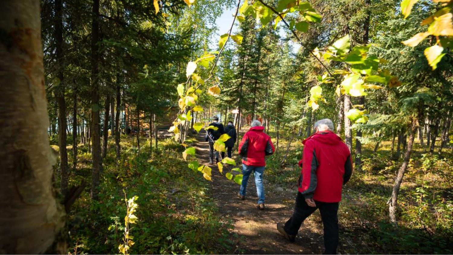 blachford-lodge-and-wilderness-resort33