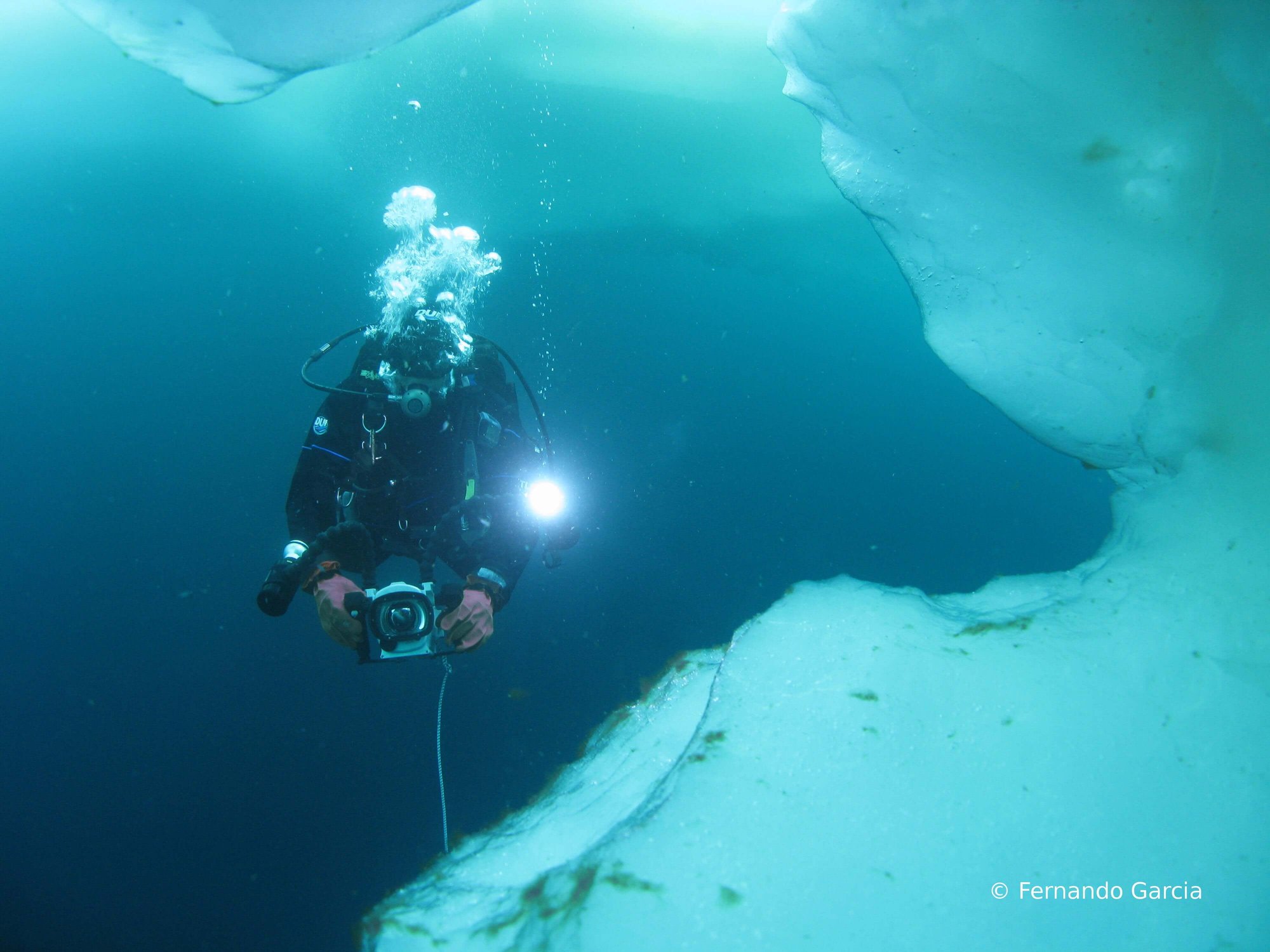 img_1039-fernando-garcia_diver-coming-through-ice