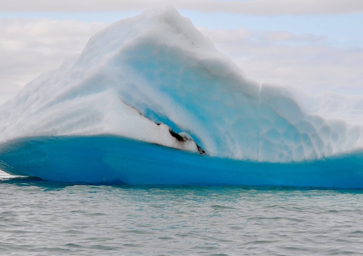 Spring Polar Bears & Icebergs of Baffin Island A Private Journey