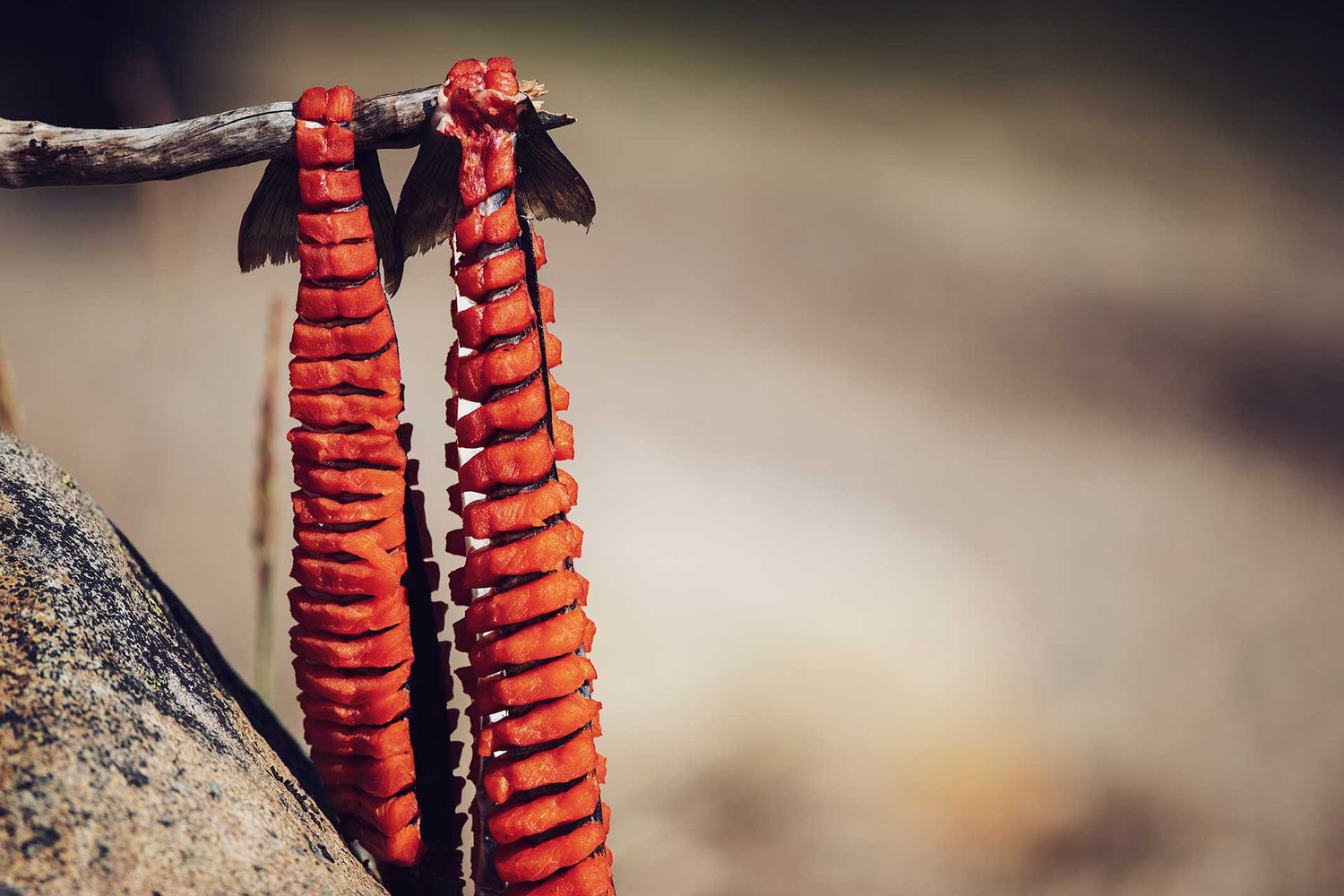 torngats-culture-food