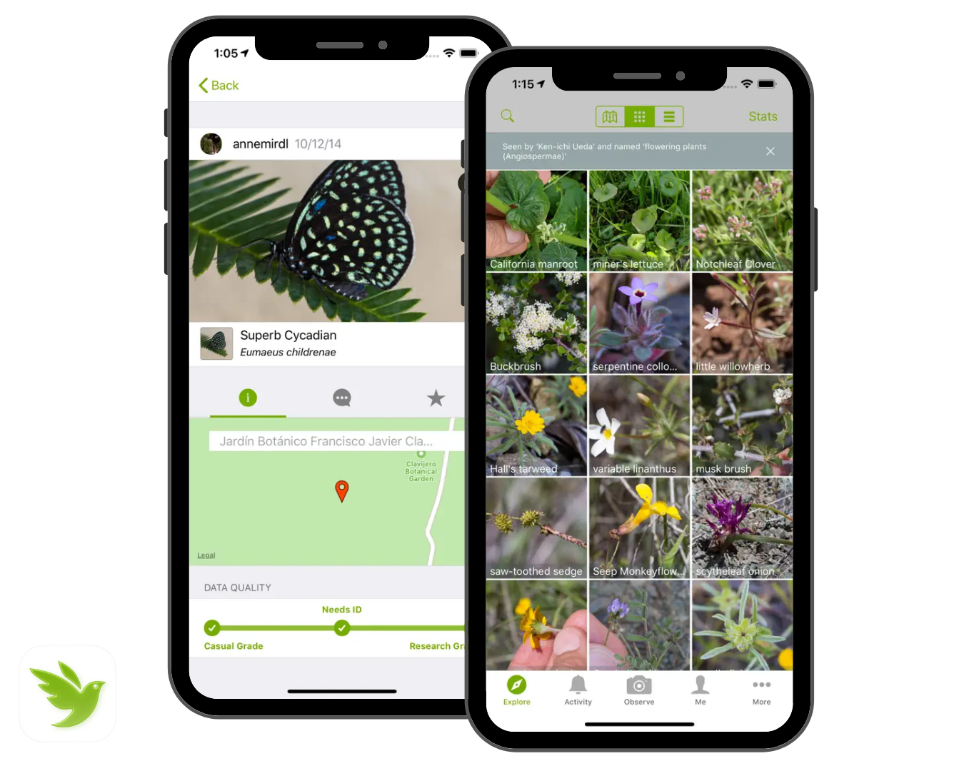 inaturalist app