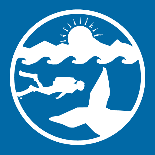 arctickingdom.com-logo